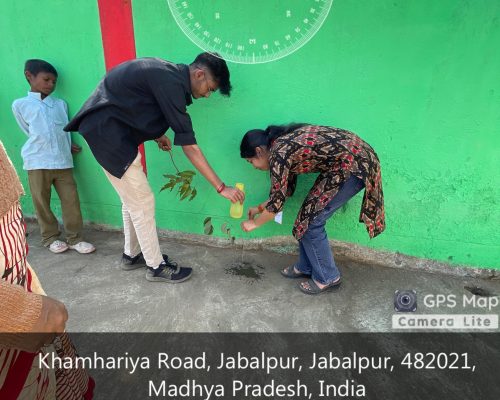 02-15-2025 022649 PM_Khamhariya Road, Jabalpur, Jabalpur, 482021, Madhya Pradesh, India